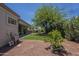 Lush backyard featuring a mature tree, artificial turf, and gravel landscaping at 17770 N 66Th Ln, Glendale, AZ 85308