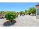 Expansive desert landscaped backyard with decorative gravel and mature trees with cacti at 18651 N Salerno Ct, Surprise, AZ 85387