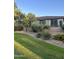 Private backyard features a green lawn, mature trees, and metal fencing at 7052 E Kessler Ave, Mesa, AZ 85209