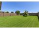 Large, well-maintained backyard featuring lush green lawn and a play structure at 7413 S 32Nd Dr, Phoenix, AZ 85041