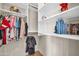 Well-organized closet with clothing racks, upper shelves, and decorative items at 8024 E Lone Mountain Rd, Scottsdale, AZ 85266