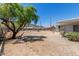 Backyard featuring desert landscaping, a tree, and a view of the neighboring houses at 1413 E Dobbins Rd, Phoenix, AZ 85042