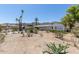 Picture of a house with desert landscaping, palm trees, and mountain views at 1413 E Dobbins Rd, Phoenix, AZ 85042