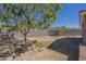 Wide backyard featuring mature shade tree, gravel, and a block fence providing privacy at 1530 E Loma Ln, Phoenix, AZ 85020