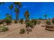 Lush backyard featuring mature palm trees, vibrant greenery, and desert landscaping for a serene outdoor space at 1549 N La Rosa Dr, Tempe, AZ 85288