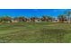 Expansive green space offers a serene environment with vibrant landscaping and clear blue skies at 1549 N La Rosa Dr, Tempe, AZ 85288
