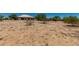 Large flat desert lot ready to be developed with mature trees and neighborhood access at 19621 W Minnezona Ave, Litchfield Park, AZ 85340
