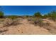 Flat desert lot ready to be developed with mature trees and neighborhood access at 19621 W Minnezona Ave, Litchfield Park, AZ 85340