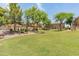 Beautifully maintained common area perfect for a relaxing stroll at 2150 E Bell Rd # 1088, Phoenix, AZ 85022