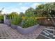 Backyard with raised garden beds bursting with sunflowers and other plantings at 22039 N 86Th Ave, Peoria, AZ 85383