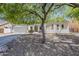 Lovely single-story home showcases desert landscaping and a large shade tree, providing a welcoming atmosphere at 2976 E Clifton Ave, Gilbert, AZ 85295