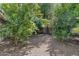 The backyard has mature trees and is landscaped with neutral gravel for easy maintenance at 7806 N Via Del Sol --, Scottsdale, AZ 85258