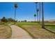 Beautiful golf course view with palm trees and walking path on a bright sunny day at 7839 E Milagro Ave, Mesa, AZ 85209