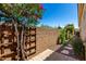 Well-maintained backyard showcasing lush greenery, trees and brick privacy fence at 16538 E Westwind Ct # 51, Fountain Hills, AZ 85268