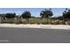 Scenic view of a community park featuring lush green space, mature trees, and playground equipment at 17074 W Seldon Ln, Waddell, AZ 85355