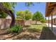 Backyard features mature shade trees, green grass and a brick wall at 408 W Stacey Ln, Tempe, AZ 85284