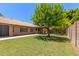 The beautiful home's backyard features a mature tree, covered patio, and lush green grass at 408 W Stacey Ln, Tempe, AZ 85284