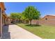 A large backyard features a mature shade tree and block wall providing shade and privacy at 408 W Stacey Ln, Tempe, AZ 85284