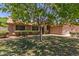 Beautiful home with mature tree in the front yard, showcasing a well-manicured lawn and landscaping at 408 W Stacey Ln, Tempe, AZ 85284