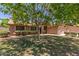 Front yard view showcasing a mature tree providing shade, lush green lawn, and well-maintained landscaping at 408 W Stacey Ln, Tempe, AZ 85284
