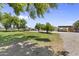 Large, grassy backyard with mature trees and additional structures on the expansive lot at 4212 W Tierra Buena Ln, Phoenix, AZ 85053