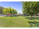 Expansive backyard featuring a trampoline, playground, and mature trees, perfect for outdoor activities at 4212 W Tierra Buena Ln, Phoenix, AZ 85053