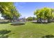 Spacious backyard with trampoline, playground, and mature trees offering shade and recreation at 4212 W Tierra Buena Ln, Phoenix, AZ 85053