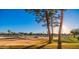 Scenic view of a golf course with mature trees and a clear blue sky at 4303 E Cactus Rd # 128, Phoenix, AZ 85032