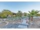 Beautifully landscaped backyard with a stone pathway leading to the main house at 9183 W Shamel Ash Rd, Peoria, AZ 85383