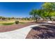 Walking path leading to a grassy community park with playground, picnic tables and green space at 923 E Randy St, Avondale, AZ 85323