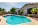 Sparkling backyard pool surrounded by lush tropical landscaping, mature plants and patio areas for serene outdoor enjoyment at 9465 W Tonopah Dr, Peoria, AZ 85382