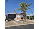 Inviting single-story home with a well-manicured yard, mature palm trees, and a covered front patio at 303 S Recker Rd # 98, Mesa, AZ 85206