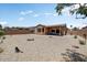 Spacious backyard featuring gravel, privacy wall, and covered patio that's perfect for entertaining at 16469 W Century Plant Dr, Surprise, AZ 85387