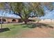 Expansive front yard showcasing a mature tree and lush lawn, complemented by a single-story home at 6739 N 16Th St # 17, Phoenix, AZ 85016