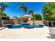 Beautiful backyard pool area surrounded by mature palm trees and landscaping at 3006 E Lexington Ave, Gilbert, AZ 85234