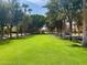 Large green space with mature trees offering shade and scenic views of the surrounding neighborhood at 3036 N Acacia Way, Buckeye, AZ 85396