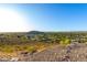 Scenic neighborhood view with homes and lush trees spread across a valley under a clear blue sky at 507 W Sweetwater Ave, Phoenix, AZ 85029