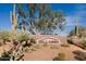 Community sign featuring Bellasera in stone accents, surrounded by desert plants at 7315 E Brisa Dr, Scottsdale, AZ 85266