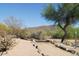 Scenic walking path surrounded by desert vegetation and a mountain backdrop at 7315 E Brisa Dr, Scottsdale, AZ 85266