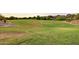 Expansive green space that's perfect for outdoor activities, with trees and walking paths, set amongst the community at 7722 E Wolf Canyon St, Mesa, AZ 85207
