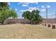Spacious backyard featuring lush trees, a block fence, and potential for landscaping at 1160 E Hampton Cir, Mesa, AZ 85204