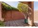 Private backyard with a mature tree and stone paver patio at 16818 S 23Rd St, Phoenix, AZ 85048
