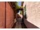 Backyard hardscape walkway with climbing vine, pavers, and partial view of house at 16818 S 23Rd St, Phoenix, AZ 85048