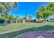 Expansive backyard featuring well-maintained lawn and mature trees at 19120 N 98Th Ln, Peoria, AZ 85382