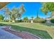 Expansive backyard with lush green lawn, mature trees, and well-maintained landscaping providing privacy at 19120 N 98Th Ln, Peoria, AZ 85382