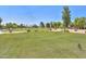 Picturesque golf course view with lush green fairways and palm trees at 19120 N 98Th Ln, Peoria, AZ 85382