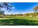 Expansive green space with lush grass and mature trees, perfect for outdoor activities and recreation at 21105 N 37Th Run, Phoenix, AZ 85050