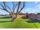 Backyard with artificial turf, a large tree, and a playset, surrounded by a brick wall for privacy at 2234 N 74Th Way, Scottsdale, AZ 85257