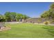 Expansive backyard features lush lawn, mature trees, and a sparkling pool with ample space for outdoor activities at 3062 E Cullumber St, Gilbert, AZ 85234