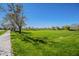 Green space featuring lush grass, trees, a clear blue sky, and a covered picnic area in the background at 3062 E Cullumber St, Gilbert, AZ 85234